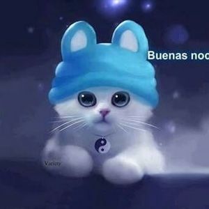 Meet your Posher, M. lupe de muñoz